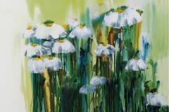 Gänseblümchen
